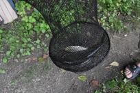 Gminne drużynowe zawody wędkarskie